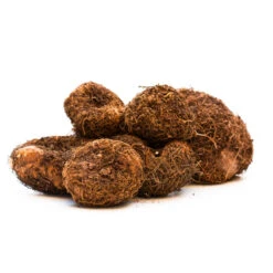 Begonia Double Collection 3/4cm 17 Begonia Double Collection 3/4cm -Plant Flower Store Begonia Tubers 3 4cm amended 80519.1643618734