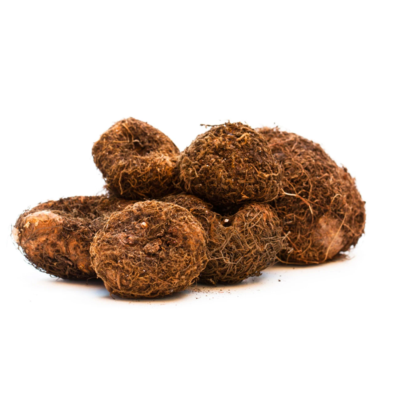 Begonia Double Collection 3/4cm 10 Begonia Double Collection 3/4cm - Image 8