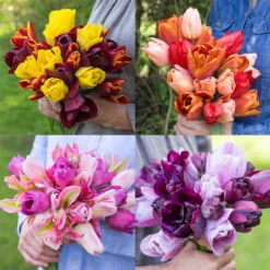 Complete Bouquet Collection
