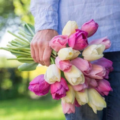 Tulip Pretty In Pink Bouquet Collection